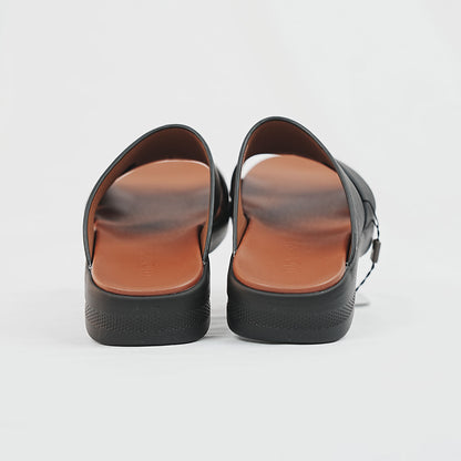 BLACK-BROWN-COLOR